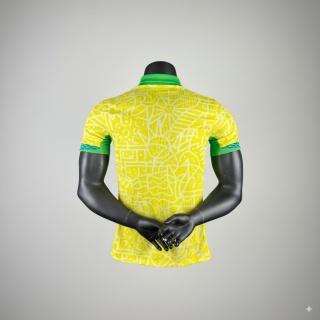 Brazylia 25/26 Home